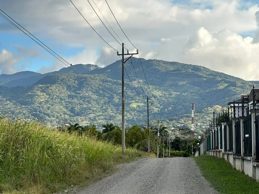 Línea eléctrica con postación a lo largo de un camino rural